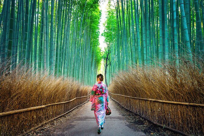 Tokyo to Kyoto 1-Full Day Private Guided Tour - Kyoto highlights without the stress of planning