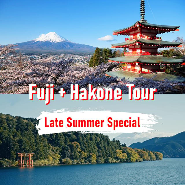 Tokyo to Mount Fuji and Hakone: Private Full-Day Tour - Tokyo-to-Fuji logic: why a private full-day tour works