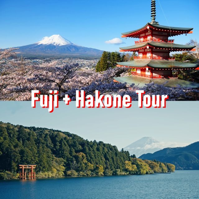 Tokyo to Mount Fuji and Hakone: Private Full-Day Tour - Morning pickup in Tokyo: expect a smooth start, not a stress test