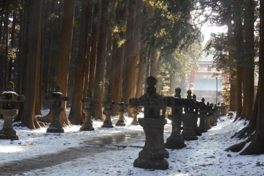 Tokyo To Mount FUJI Day Trip With English guide - Gotemba Premium Outlets and Hakone: shopping time plus a ride-style photo stop