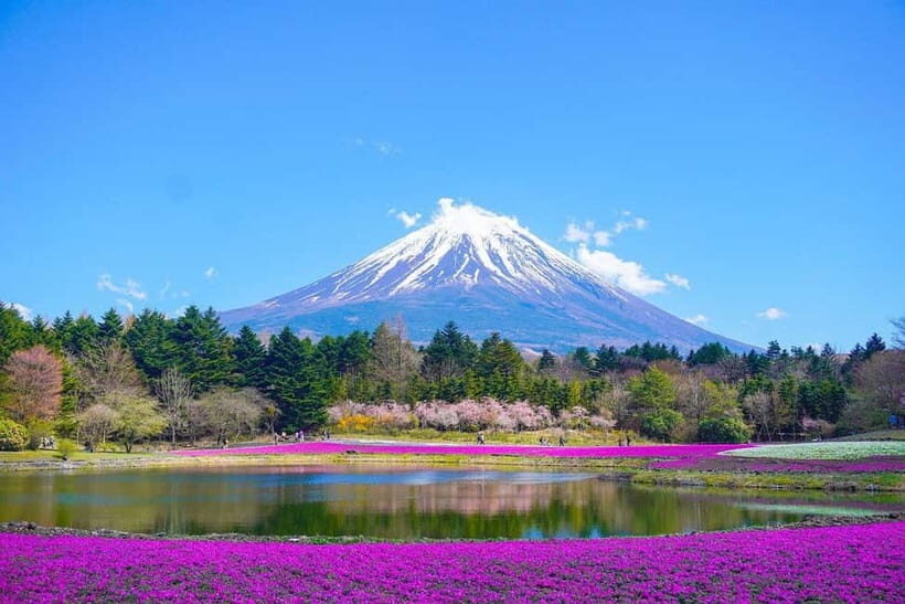 Tokyo To Mount FUJI Day Trip With English guide - Tokyo-to-Fuji pickup: smooth start, clear meet-up rules