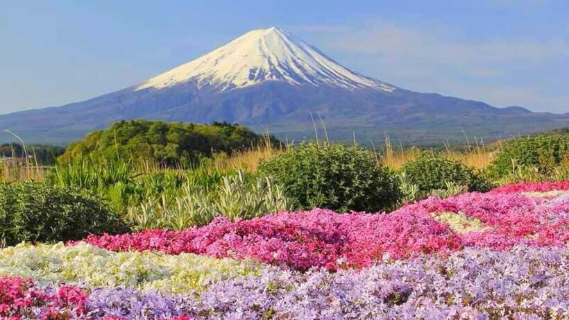 Tokyo To Mount FUJI Day Trip With English guide - Kitaguchi-hongu Fuji Sengen Shrine: myth, prayer, and a stop with meaning