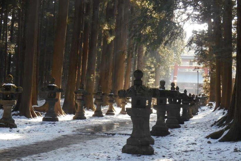 Tokyo To Mount FUJI Day Trip With English guide - Oishi Park (Fuji Flower Park): panoramic views with photo-friendly structure