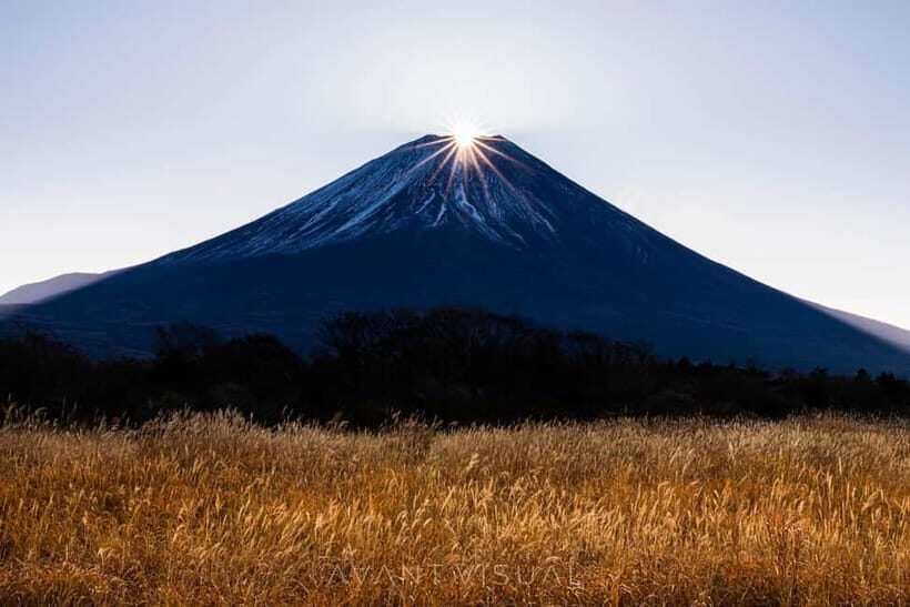 Tokyo To Mount FUJI Day Trip With English guide - The route logic: multiple Fuji viewpoints in one smart sweep
