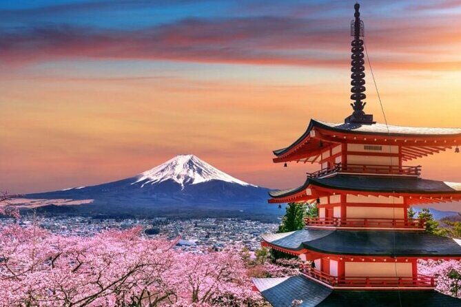 Tokyo To Mount Fuji Private English Guided Day Tour - A Private Fuji Day From Tokyo: What This Tour Gets Right