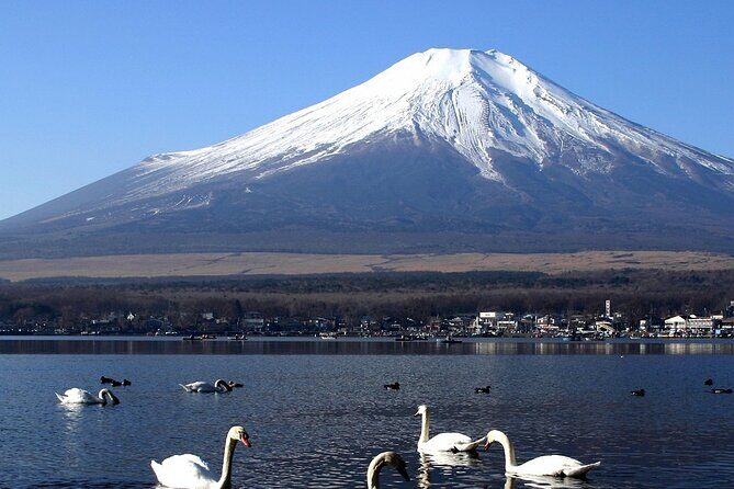Tokyo To Mount Fuji Private English Guided Day Tour - Stop 3: Oshino Hakkai for Snowmelt Ponds and Quiet Beauty