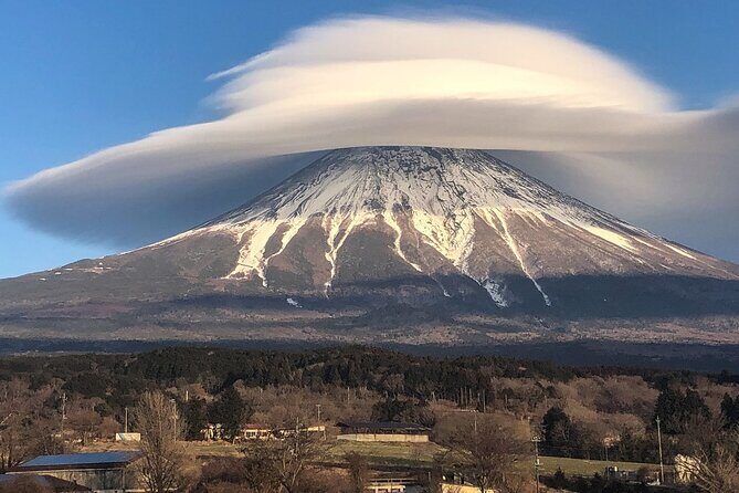 Tokyo To Mount Fuji Private English Guided Day Tour - Stop 1: Mt. Fuji Subaru Line 5th Station for Close-Up Views