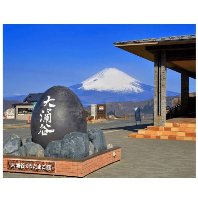 “Tokyo to Mt. Fuji & Hakone: Private Customizable Day Trip” - Key points before you go