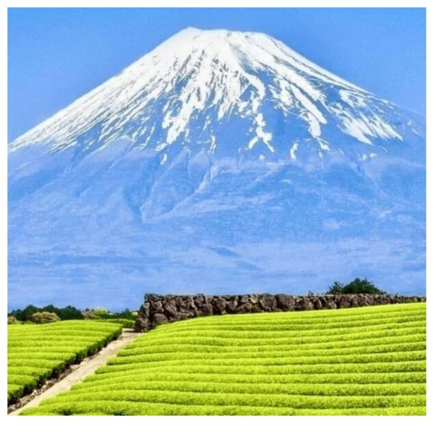 “Tokyo to Mt. Fuji & Hakone: Private Customizable Day Trip” - Why this Tokyo-to-Fuji-and-Hakone day works so well