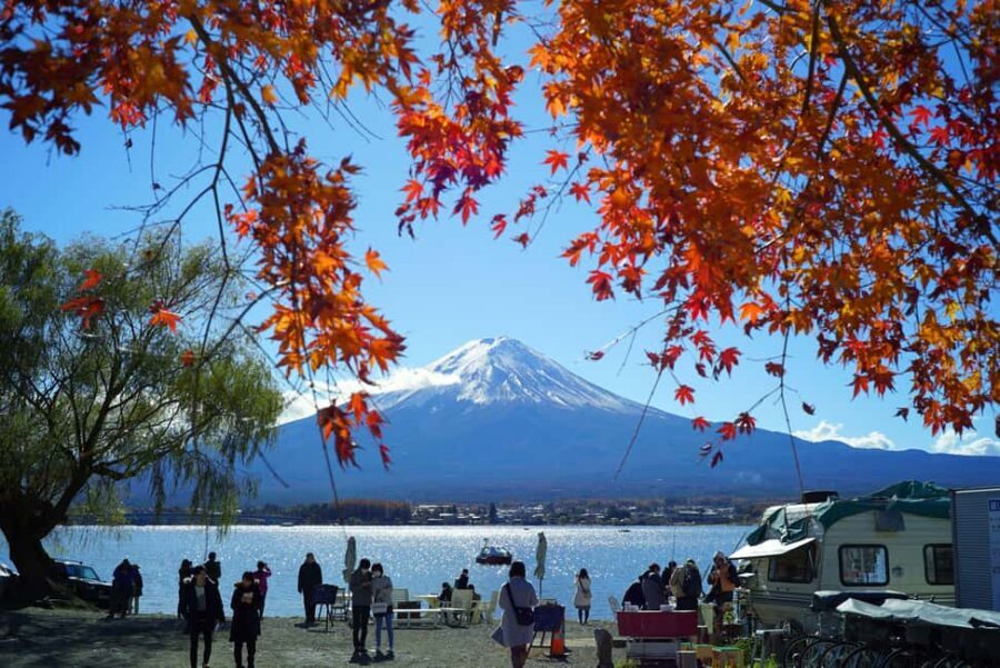 “Tokyo to Mt. Fuji & Hakone: Private Customizable Day Trip” - Arakurayama Sengen Park and Chureito Pagoda: classic framing and calm walking