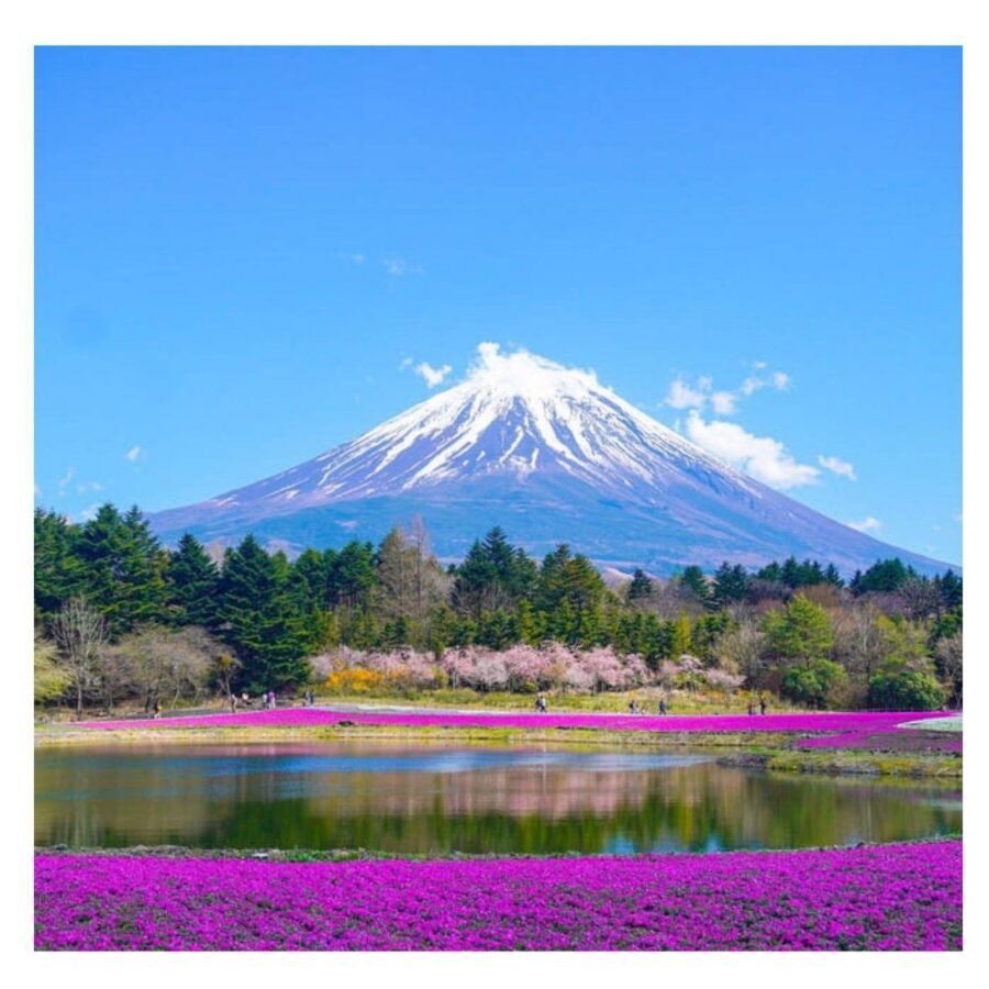 “Tokyo to Mt. Fuji & Hakone: Private Customizable Day Trip” - Lunch break: short stop, so plan for preferences