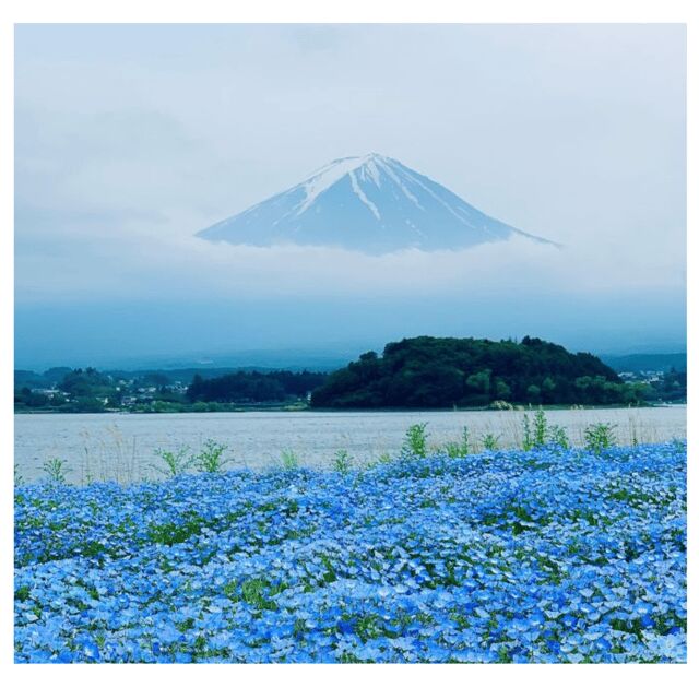 “Tokyo to Mt. Fuji & Hakone: Private Customizable Day Trip” - Saiko Iyashi-no-Sato Nenba: traditional village atmosphere