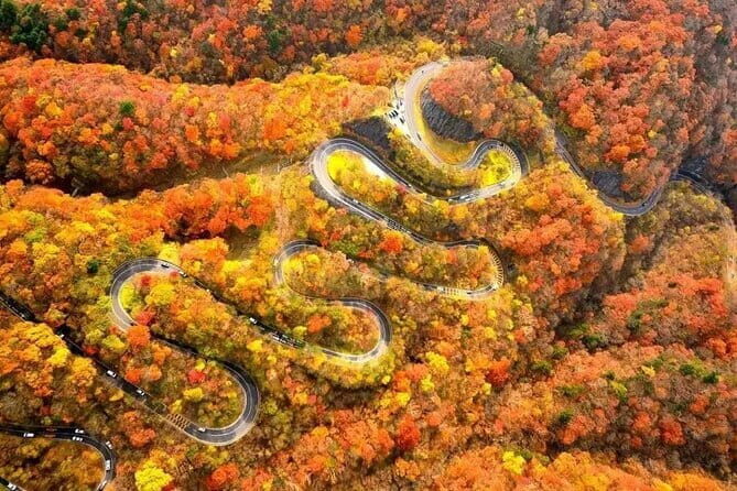 Tokyo: Toshogu Shrine (Nikko Toshogu), Lake Chuzenji, Kegon Falls - Nikko in a Single Day: What This Trip Really Delivers