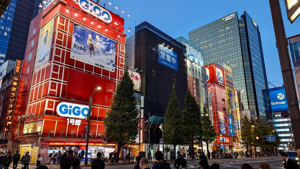 Tokyo: Tour Privado por Tokio en español - A private, Spanish-led route through Tokyo’s classic neighborhoods