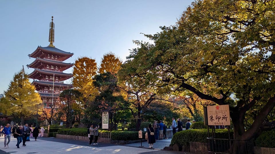 Tokyo: Tour Privado por Tokio en español - Akihabara secrets: anime, manga, games, electronics, and maid café culture