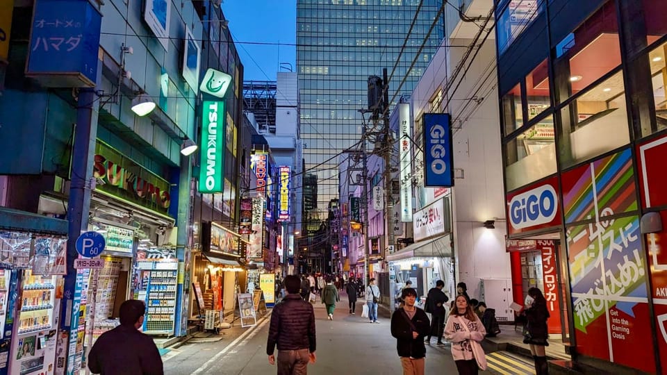 Tokyo: Tour Privado por Tokio en español - Kabukicho at night: Godzilla’s huge 3D screen and Omoide Yokocho