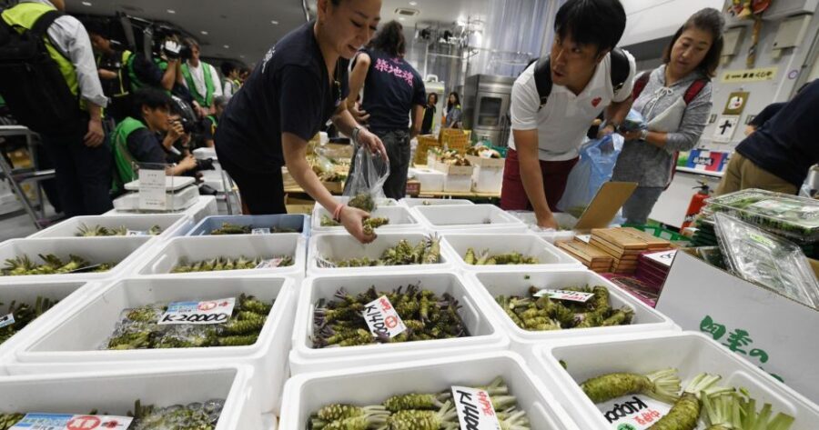 Tokyo Tsukiji Food & Culture Private Tour Licensed Guide - Who this tour suits best (and who should skip it)