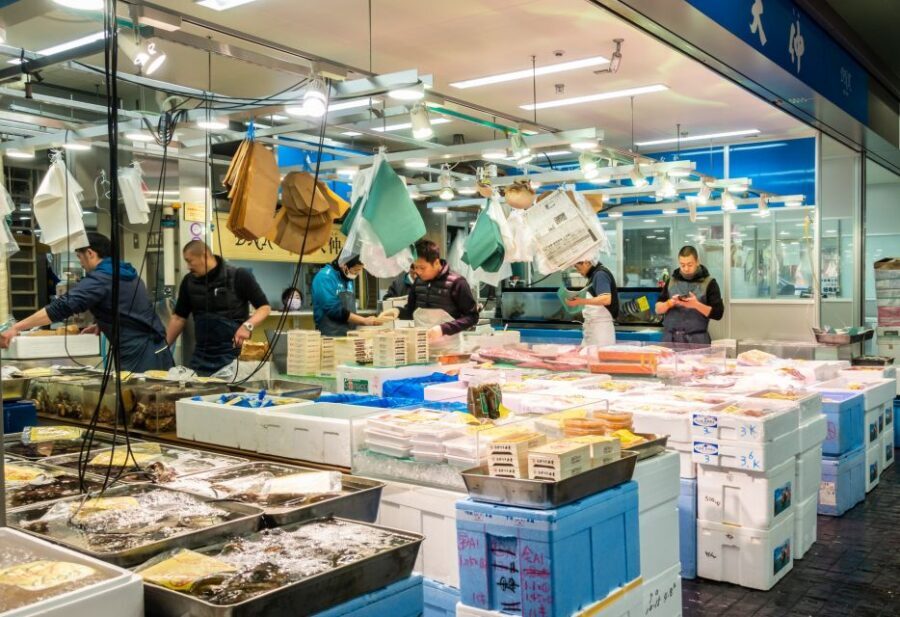Tokyo Tsukiji Food & Culture Private Tour Licensed Guide - Toyosu and the Outer Tsukiji market experience: what to expect
