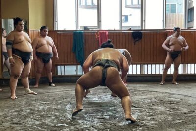 Tokyo: Visit Sumo Morning Practice with English Guide - What You Actually See: The Training Sequence Up Close