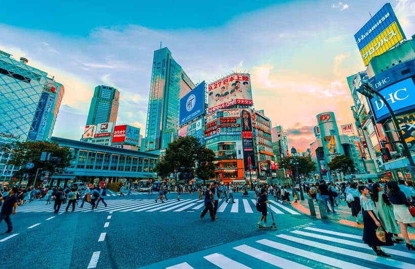 Tokyo Walk through: Shinjuku, Harajuku, Omotesando & Shibuya - Starting at Shinjuku’s station hub: a smart place to begin