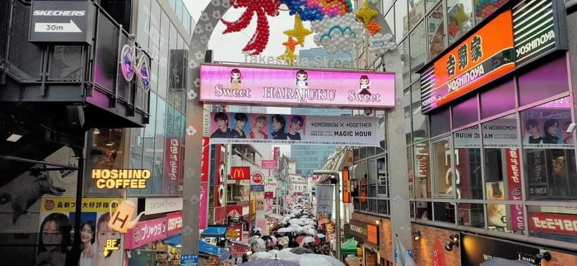Tokyo Walk through: Shinjuku, Harajuku, Omotesando & Shibuya - Who should book this Tokyo walking tour