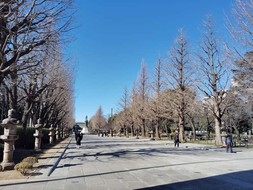 Tokyo War History Tour: Yasukuni Shrine & War Museum - What Your Guide Adds: Balance Without Hand-Waving