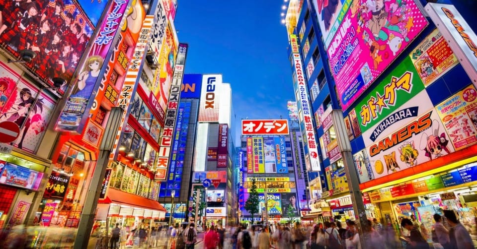 Tokyo: Winter Illuminations Private Tour with a Local - Key things to love about this Tokyo winter illuminations tour