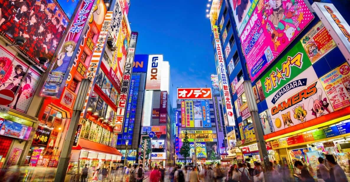 Tokyo: Winter Illuminations Private Tour with a Local - Group size: private doesn’t have to mean cramped