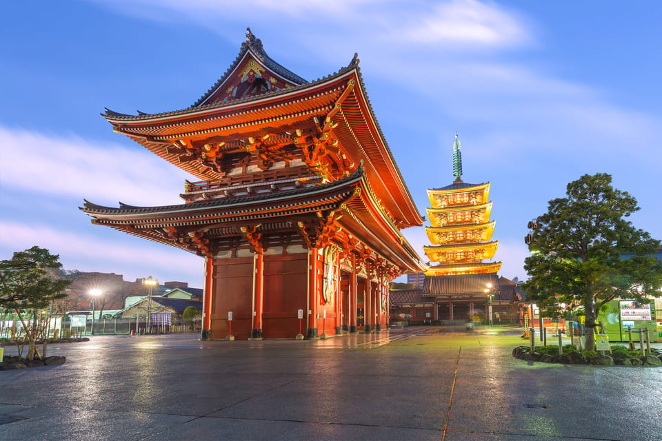 Tokyo: Winter Illuminations Private Tour with a Local - Walking logistics: what’s included, what’s extra