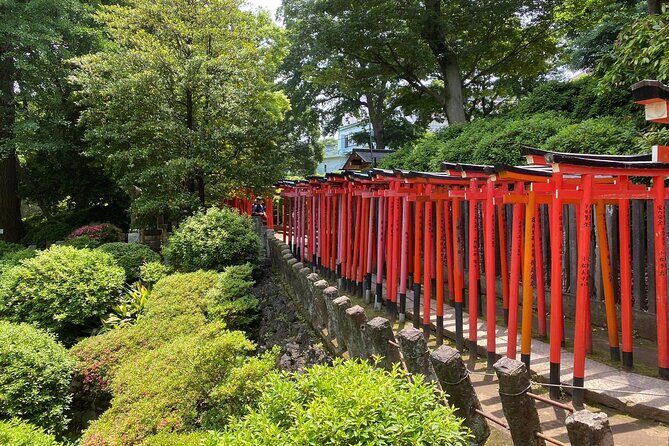 Tokyo : Yanaka and Nezu-Old Traditional Town Cultural Experience - Meeting at Nippori and Settling Into the Right Pace
