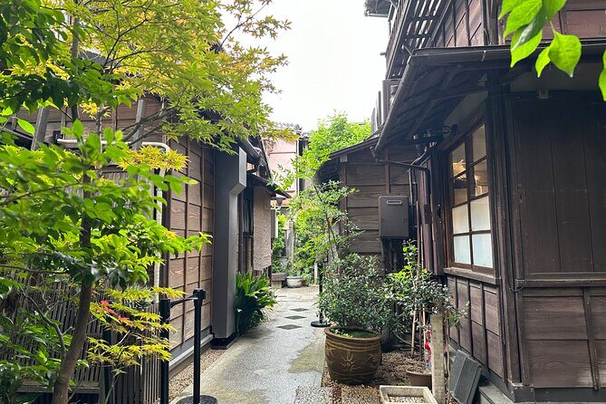 Tokyo : Yanaka and Nezu-Old Traditional Town Cultural Experience - Yanaka District: Meiji, Taishō, and Showa in the Same Neighborhood