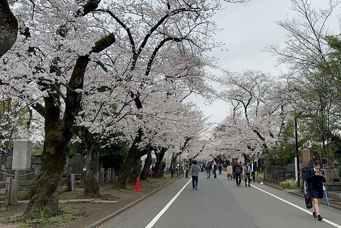 Tokyo : Yanaka and Nezu-Old Traditional Town Cultural Experience - Yanaka Cemetery: Scenic Views and Names You Might Recognize