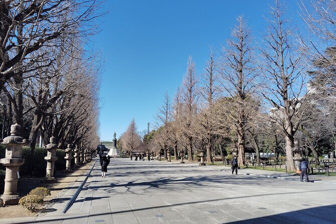 Tokyo: Yasukuni Shrine and Yushukan Museum Guided Tour - Practical tips so you get the most out of the 2.5 hours