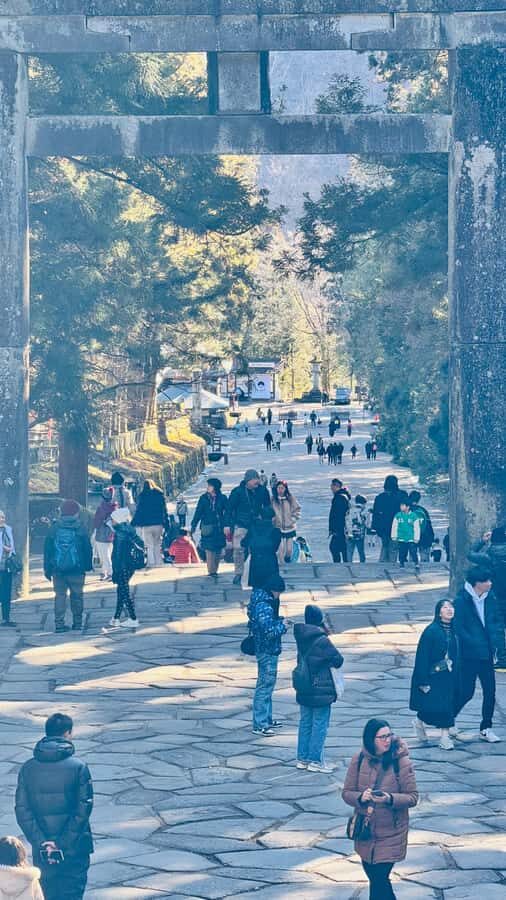 Tokyo/yokohama: Full Day Nikko Private Sightseeing Trip - Key Things I’d Prioritize Before You Book