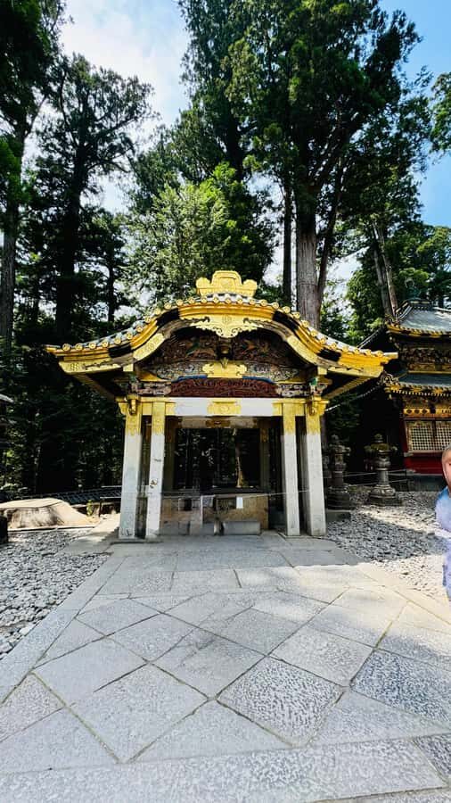 Tokyo/yokohama: Full Day Nikko Private Sightseeing Trip - Nikko Toshogu Shrine: The UNESCO Anchor of the Day