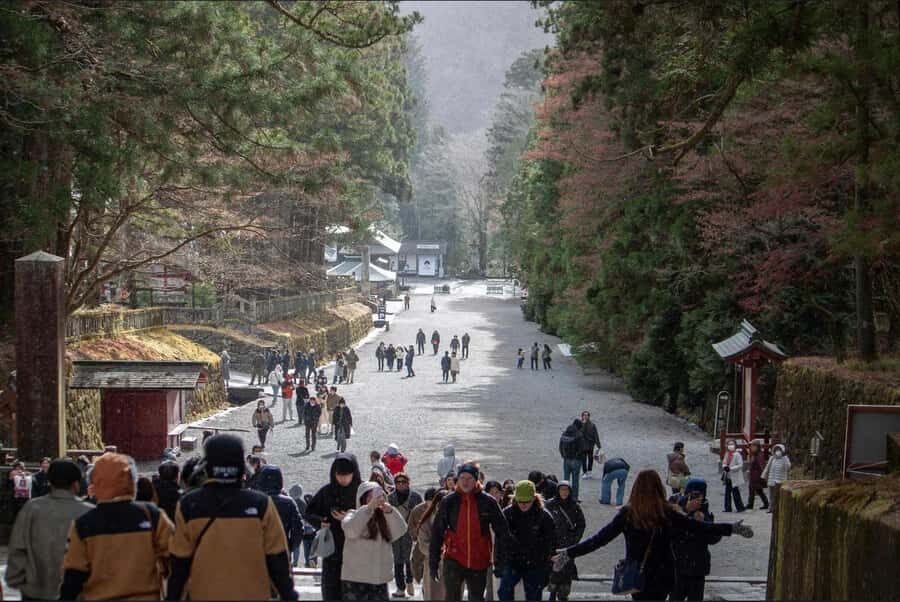 Tokyo/yokohama: Full Day Nikko Private Sightseeing Trip - The Driver-Guide Makes the Difference (And Names Matter)