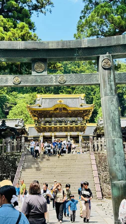 Tokyo/yokohama: Full Day Nikko Private Sightseeing Trip - What You Should Bring (So the Day Stays Easy)
