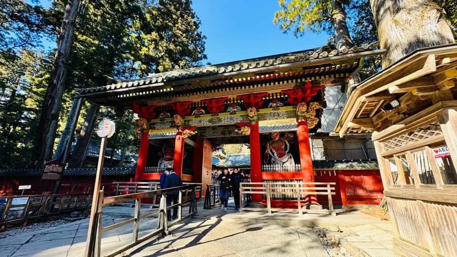 Tokyo/yokohama: Full Day Nikko Private Sightseeing Trip - Getting Out of Tokyo Comfortably: Private Transport Included