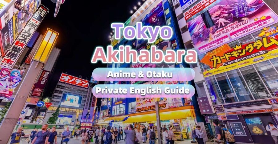 Tokyo:Cherry Blossom Mt Fuji & Shibazakura Festival Day Trip - Timing, Traffic, and What Can Change on a Fuji Day