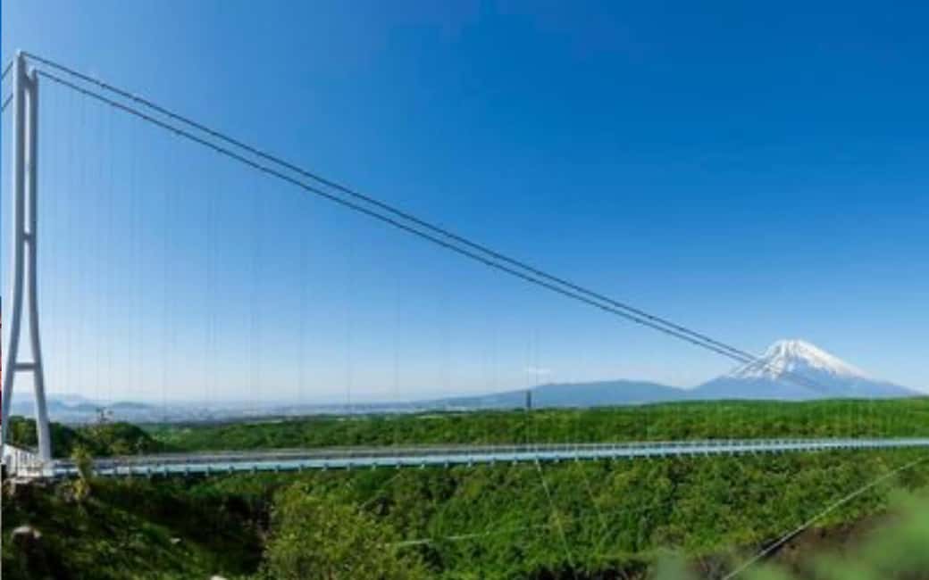 Tokyo:Customizable Private Day Trip to Mt.Fuji & Safari Park - Key highlights that make this day trip work