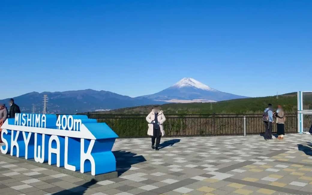 Tokyo:Customizable Private Day Trip to Mt.Fuji & Safari Park - Why a private Mt. Fuji day feels different from group tours