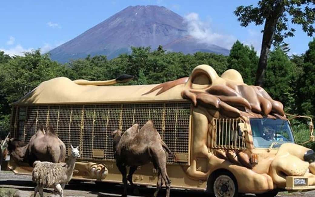 Tokyo:Customizable Private Day Trip to Mt.Fuji & Safari Park - Mishima Sky Walk: suspension-bridge views without the grind
