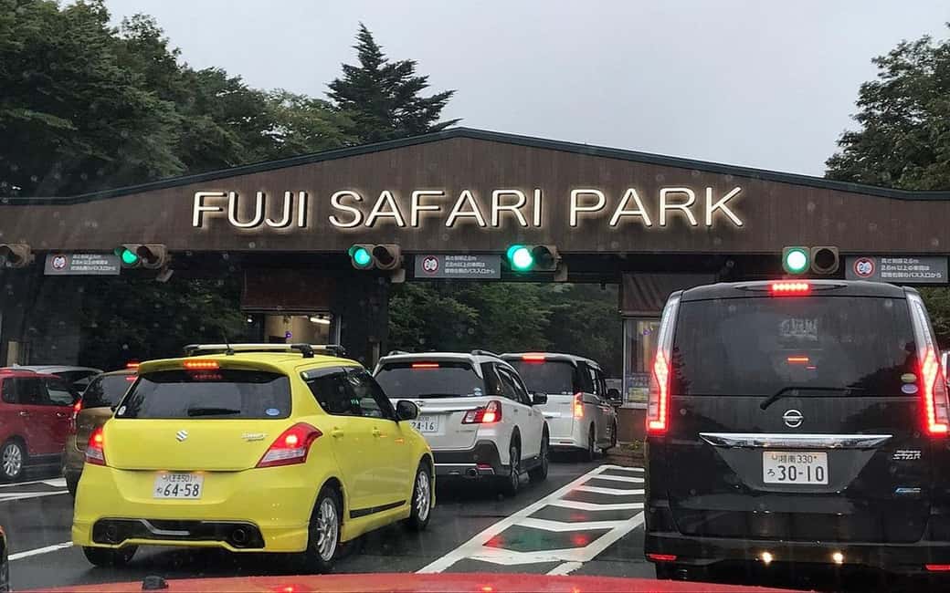 Tokyo:Customizable Private Day Trip to Mt.Fuji & Safari Park - Oshino Hakkai and the Fuji-lake photo corridor