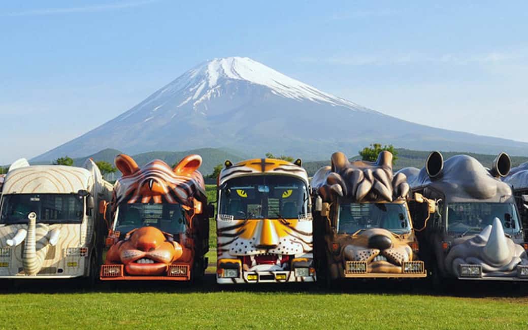 Tokyo:Customizable Private Day Trip to Mt.Fuji & Safari Park - Mt. Fuji 5th Station: the big goal, with weather as the boss