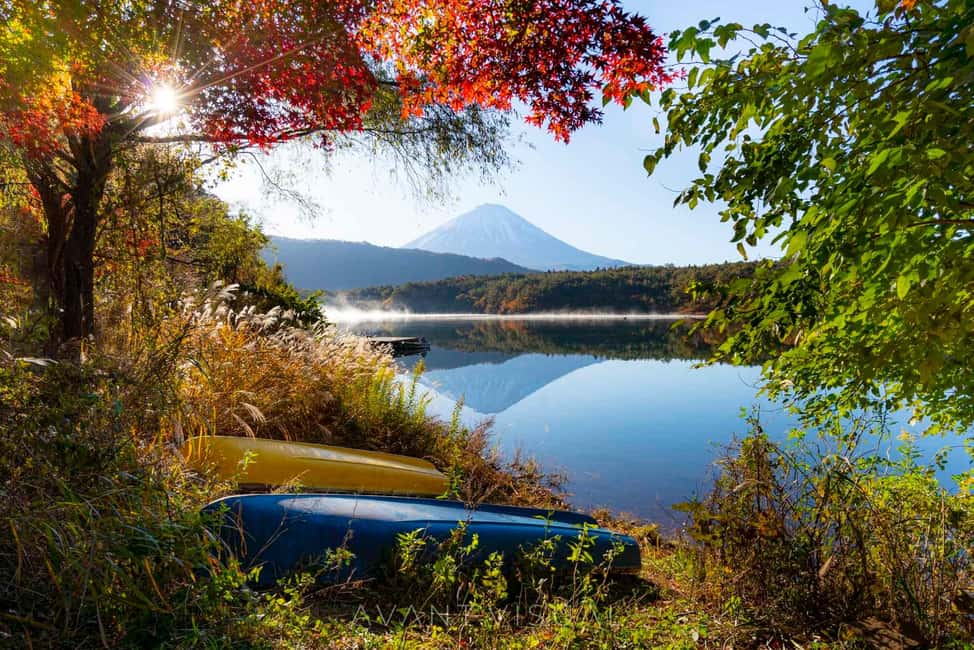 Tokyo:Customizable Private Day Trip to Mt.Fuji & Safari Park - Chureito Pagoda photo stop: the classic postcard moment