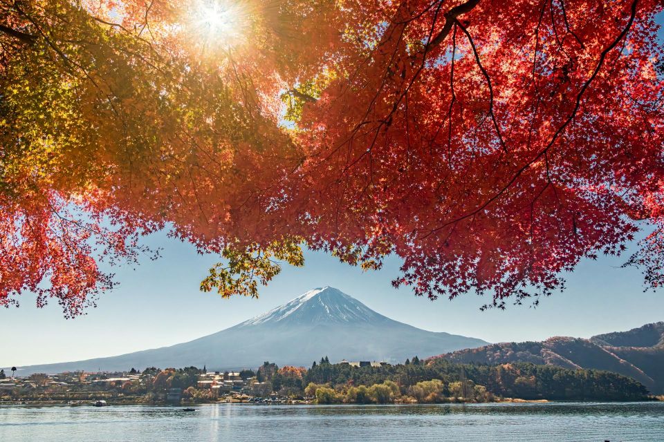 tokyo:Hakone Owakudani & Gotemba Premium Outlet 1d Tour - Lake Ashi: the scenic photo window that ties it together