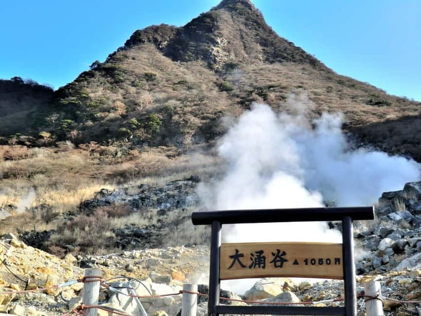 tokyo:Hakone Owakudani & Gotemba Premium Outlet 1d Tour - Price and value: is $69 a smart buy?