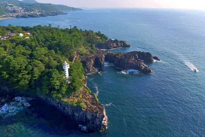 Tokyo:Izu Penisula Train Mt Omuro, Capybara Sightseeing Trip - Jogasaki Coast and Kadowaki Suspension Bridge: Your First Big Sea Moment