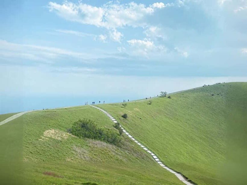 Tokyo:Izu Penisula Train Mt Omuro, Capybara Sightseeing Trip - Mt. Omuro: The Your Name Crater, Real Height, Real 360° Views