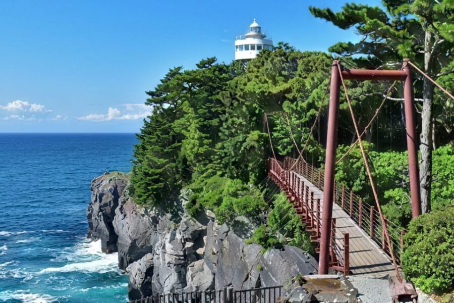 Tokyo:Izu Penisula Train Mt Omuro, Capybara Sightseeing Trip - How the Day Stays Comfortable: No Rushed Sprinting Back to Tokyo